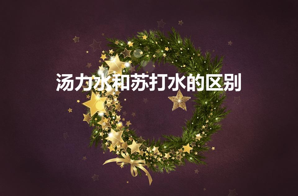 汤力水和苏打水的区别（汤力水和苏打水的区别是什么）