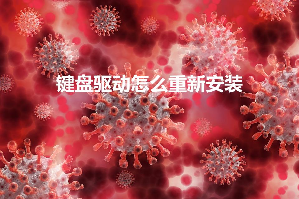 键盘驱动怎么重新安装（怎么重新安装键盘驱动）