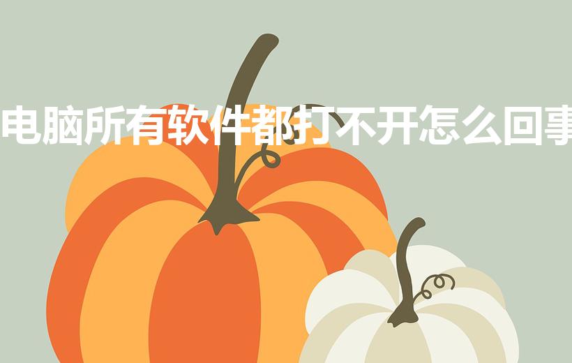 电脑所有软件都打不开怎么回事（电脑打不开软件是怎么回事）