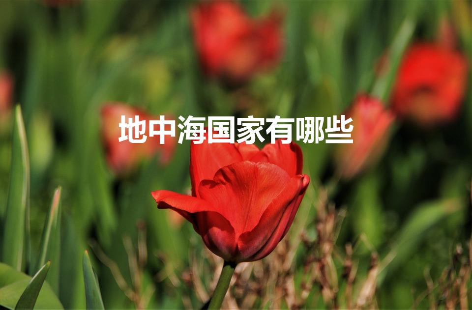地中海国家有哪些（世界上的地中海国家是哪些国家）