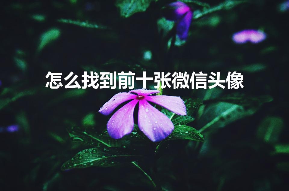 怎么找到前十张微信头像（微信历史头像如何全部找回）