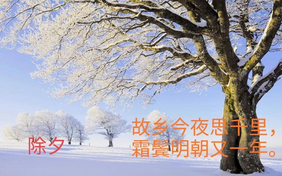 c0f4bb07096a41c7ace3c95602e777a3noop.image_ c0f4bb07096a41c7ace3c95602e777a3noop.image_