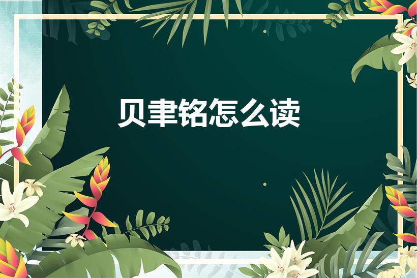 贝聿铭怎么读（贝铭聿字怎么读）