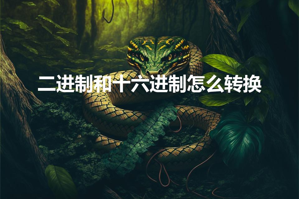 二进制和十六进制怎么转换（二进制转换成十六进制计算方法）