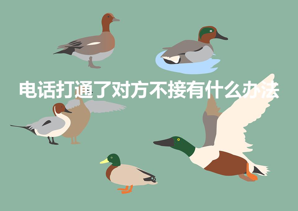 电话打通了对方不接有什么办法（对方不接电话怎么办）