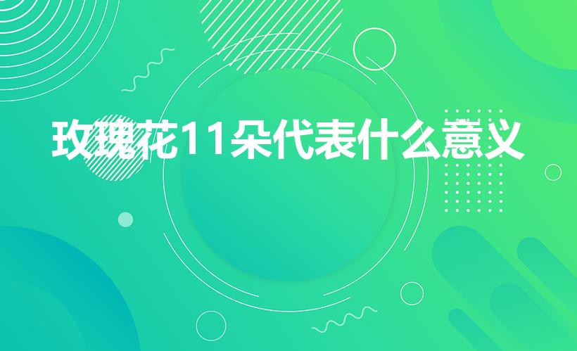 玫瑰花11朵代表什么意义（11朵玫瑰代表什么意思）