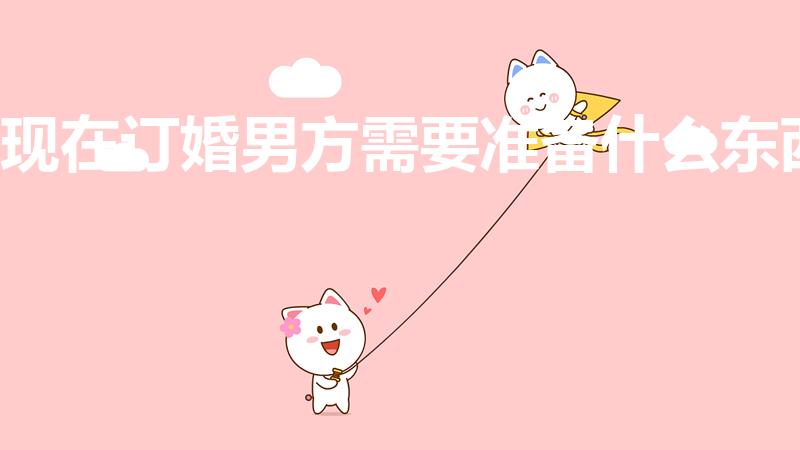 现在订婚男方需要准备什么东西（订婚男方应该准备什么礼物）