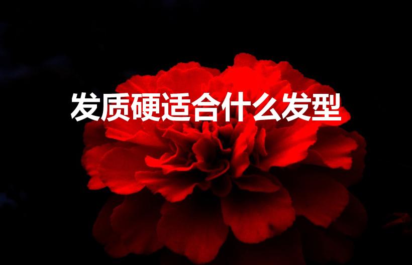 发质硬适合什么发型（头发粗硬分别适合留什么发型）