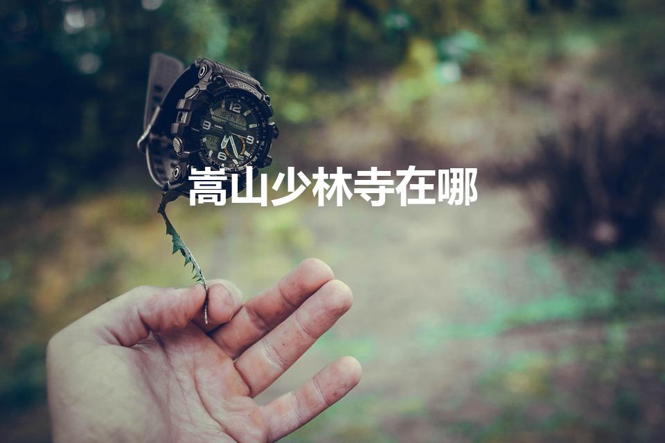 嵩山少林寺在哪（嵩山少林寺在哪 嵩山少林寺的位置）