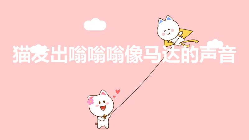 猫发出嗡嗡嗡像马达的声音（幼猫发出嗡嗡嗡像马达的声音）