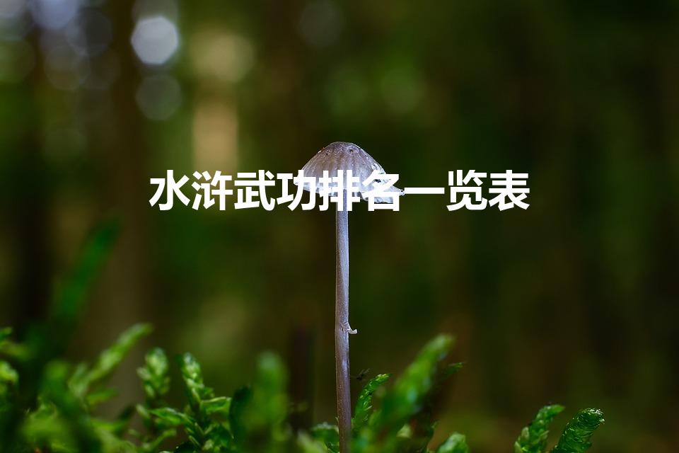 水浒武功排名一览表（水浒传武力排行榜）