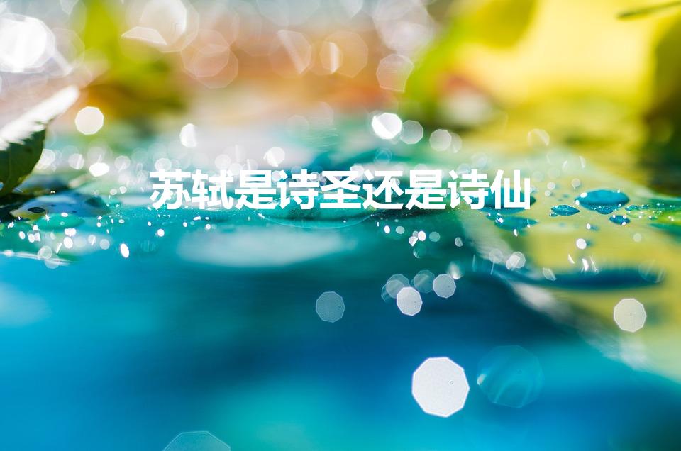 苏轼是诗圣还是诗仙（苏轼被称为诗仙还是诗圣）