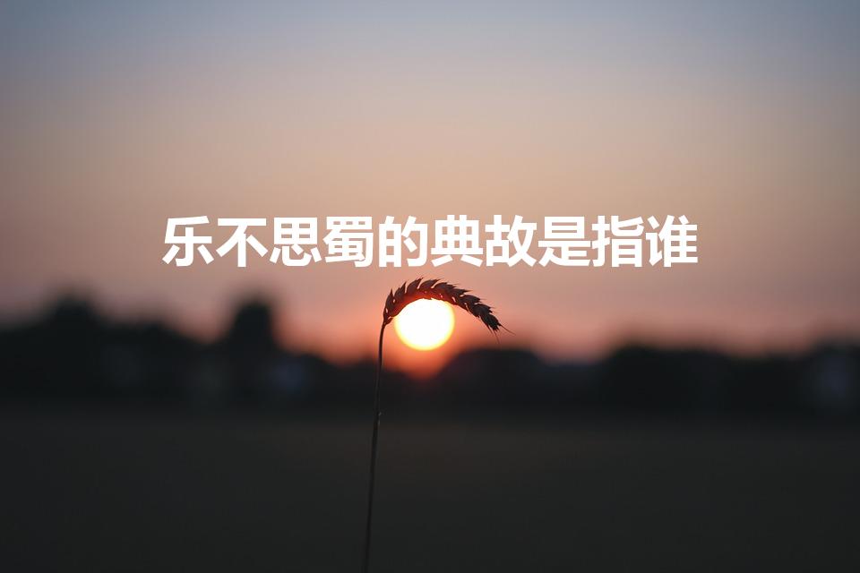 乐不思蜀的典故是指谁（三国演义中乐不思蜀指的是谁）