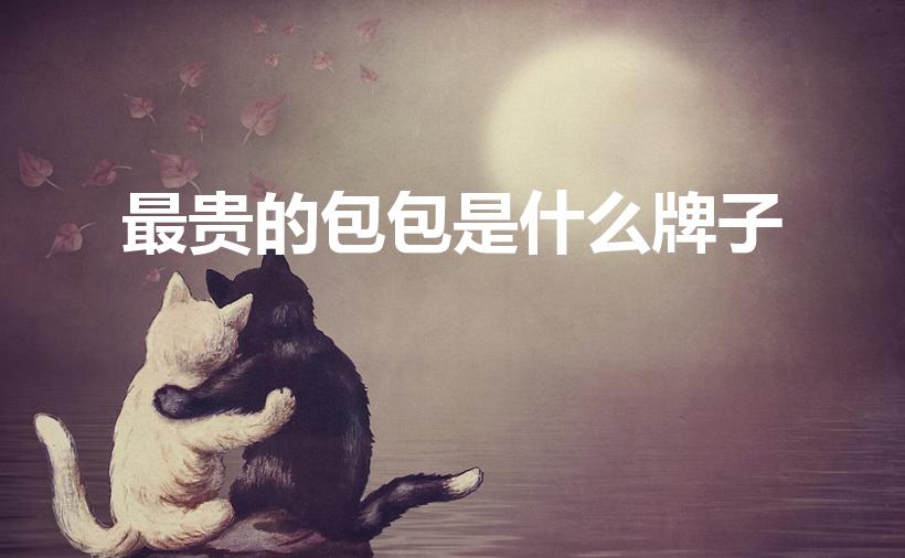 最贵的包包是什么牌子（爱马仕十大最贵的包包）