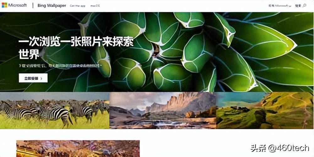 可以换动态壁纸的软件有哪些？免费动态壁纸app推荐