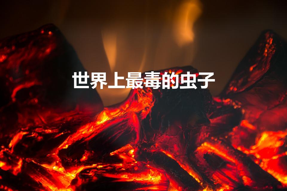 世界上最毒的虫子（哪种虫子最毒）