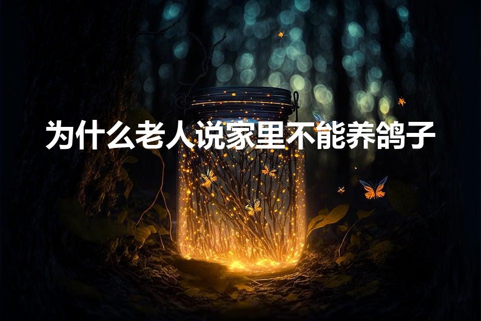 为什么老人说家里不能养鸽子（听说一只鸽子养不得是迷信吗）