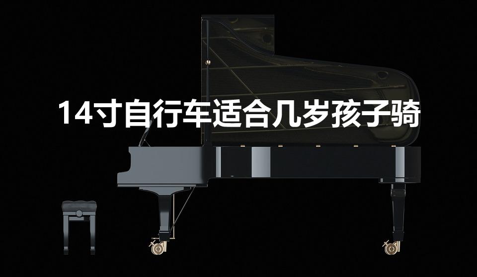 14寸自行车适合几岁孩子骑