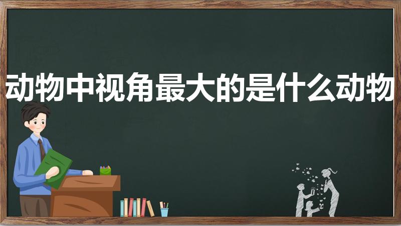 动物中视角最大的是什么动物（动物中视角最大的动物是什么）