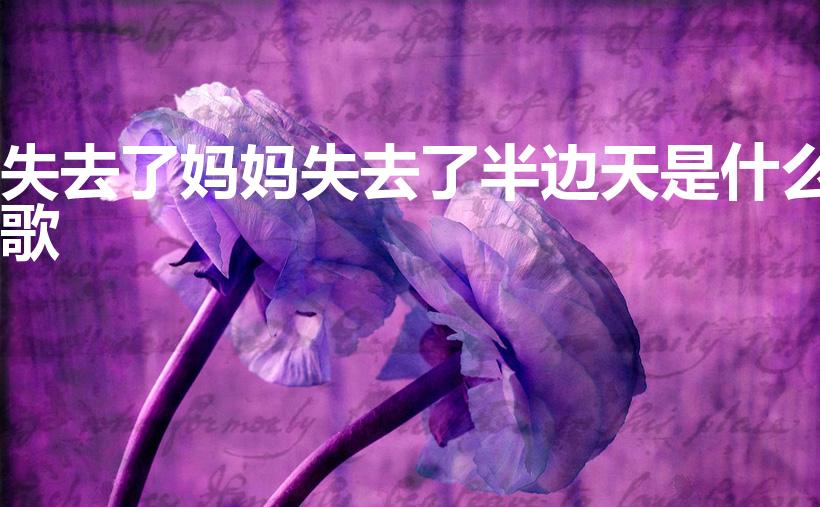 失去了妈妈失去了半边天是什么歌（梦中的妈妈原唱）