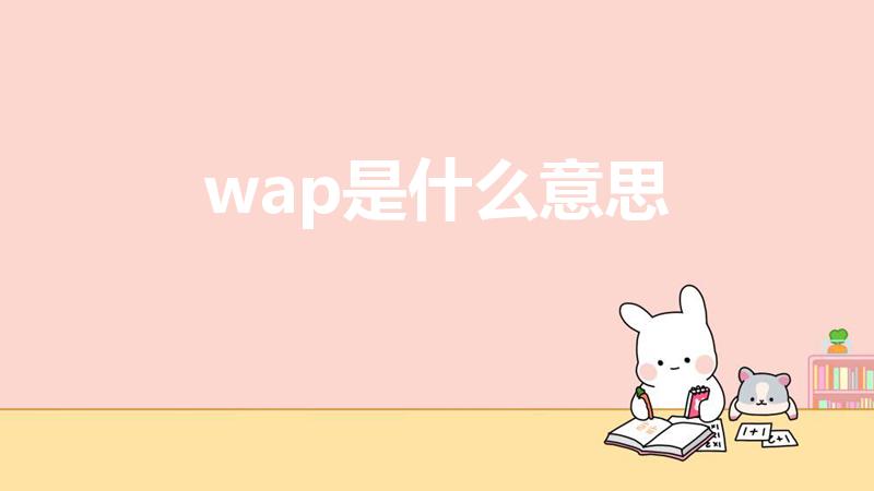 wap是什么意思（英语wap中文翻译）