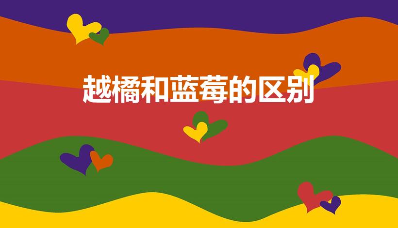 越橘和蓝莓的区别（越橘与蓝莓的区别,越橘的作用及其栽培）