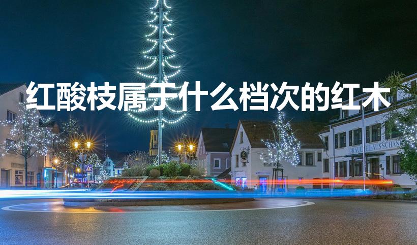 红酸枝属于什么档次的红木（大红酸枝属于什么档次）
