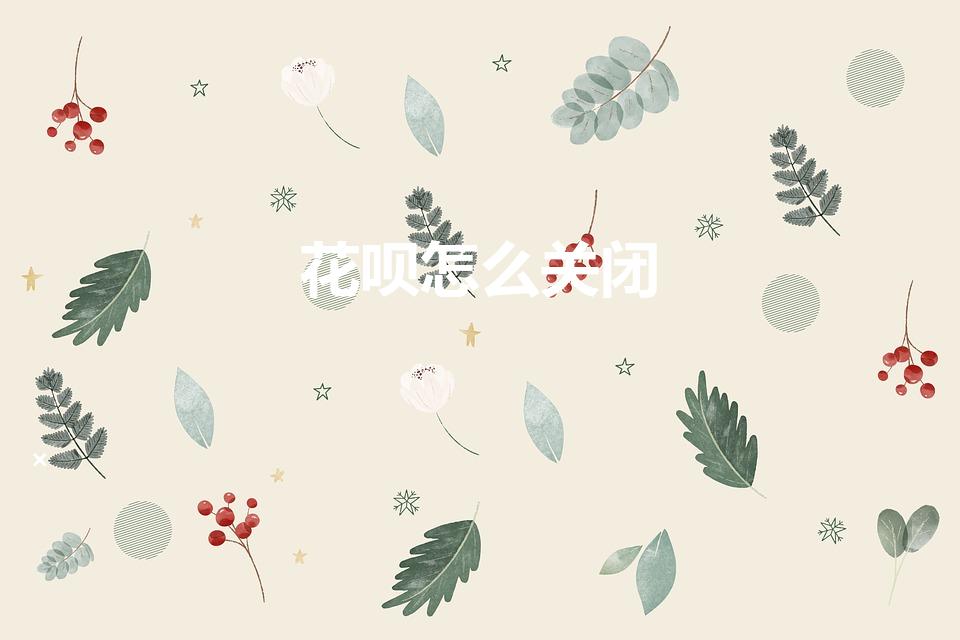 花呗怎么关闭（花呗如何关闭）