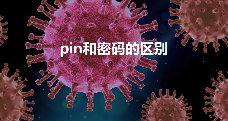 pin和密码的区别（pin和开机密码有什么区别）