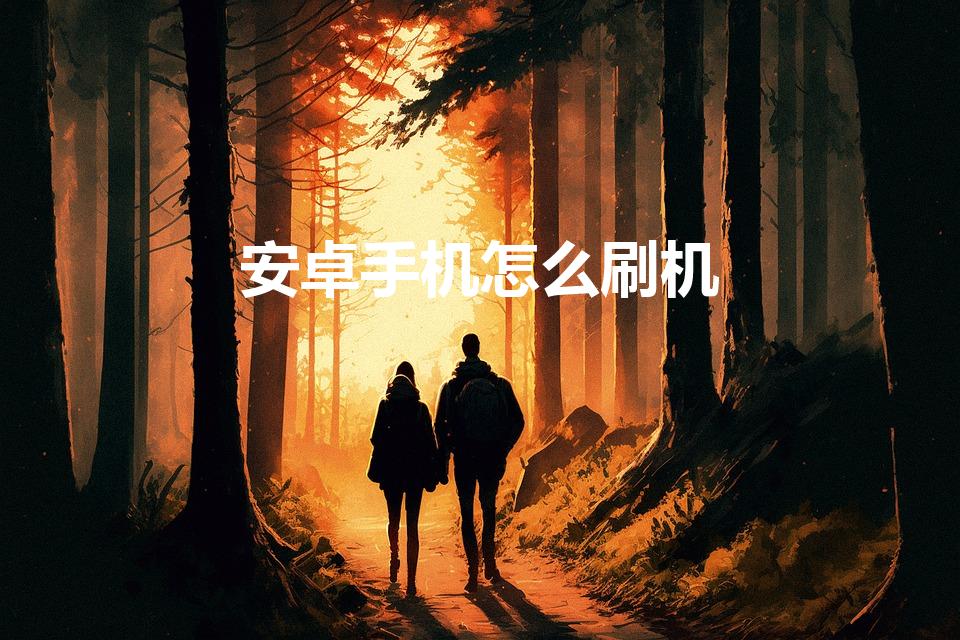 安卓手机怎么刷机（如何给安卓手机刷机）
