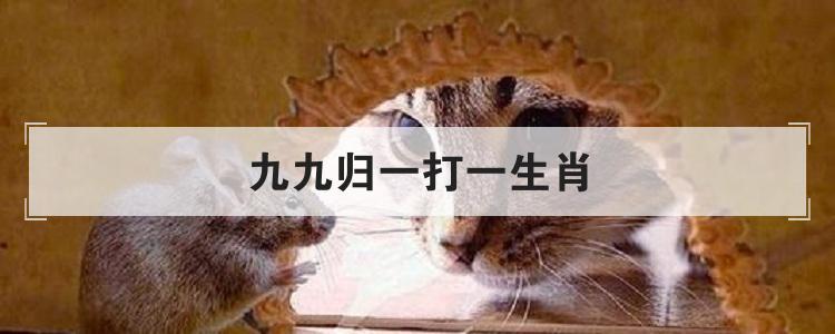 迷惑不解的动物猜一生肖（解读令人疑惑的生肖动物象征）