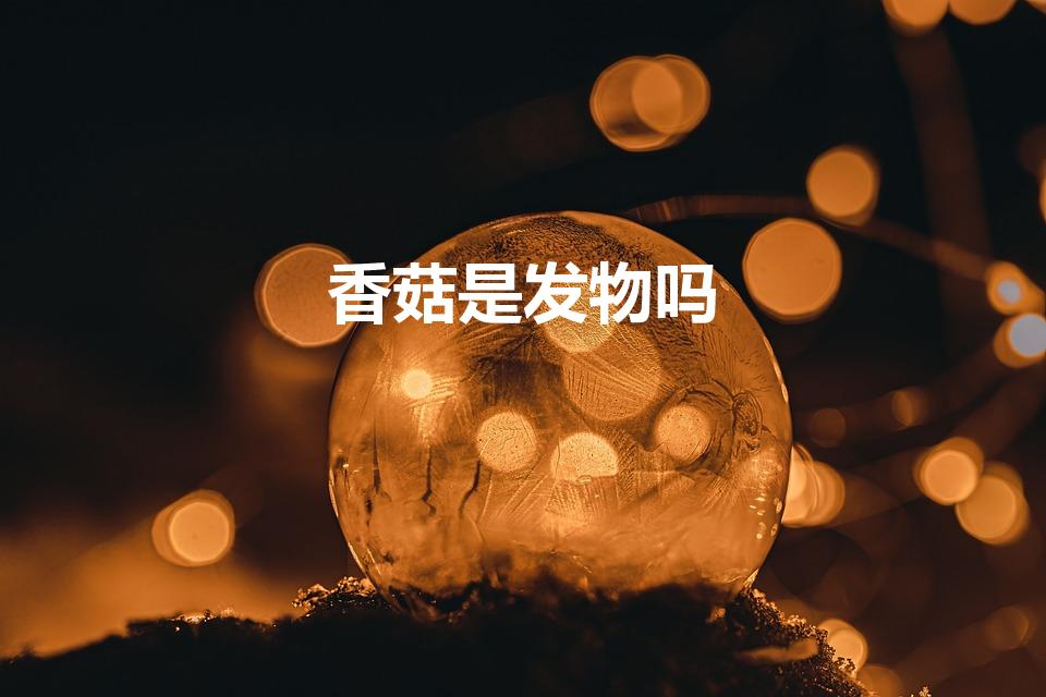 香菇是发物吗（香菇蘑菇是发物吗,蘑菇香菇是不是发物）