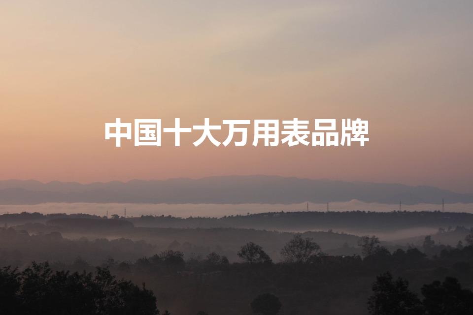 中国十大万用表品牌（万用表十大品牌）