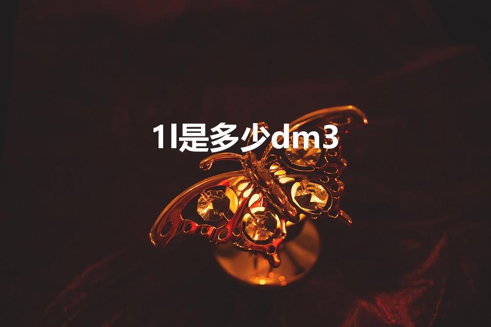 1l是多少dm3（1L=多少dm3）