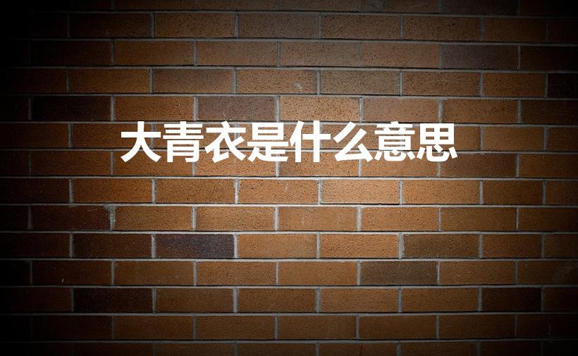 大青衣是什么意思（大青衣类型女演员是什么意思）