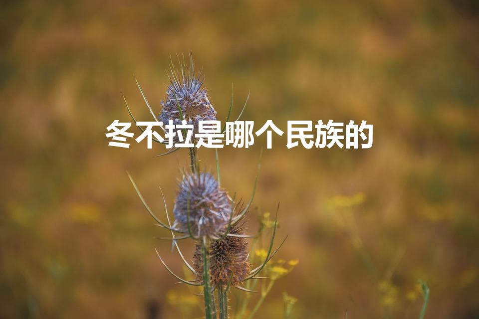 冬不拉是哪个民族的（冬不拉是哪个民族的乐器）