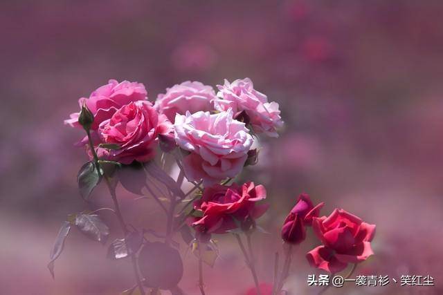 671fa9843de64d74817f770741b20984noop.image_ 671fa9843de64d74817f770741b20984noop.image_