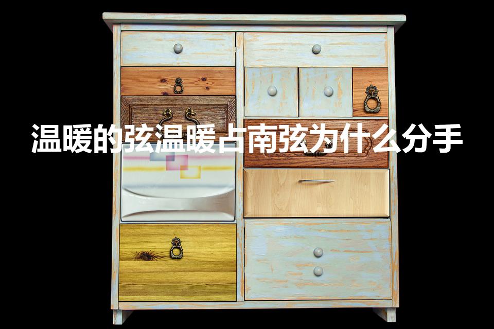 温暖的弦温暖占南弦为什么分手
