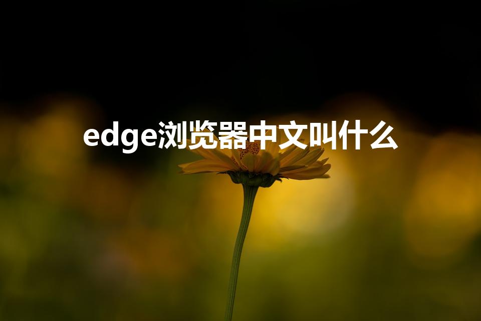 edge浏览器中文叫什么（edge浏览器怎么读音）
