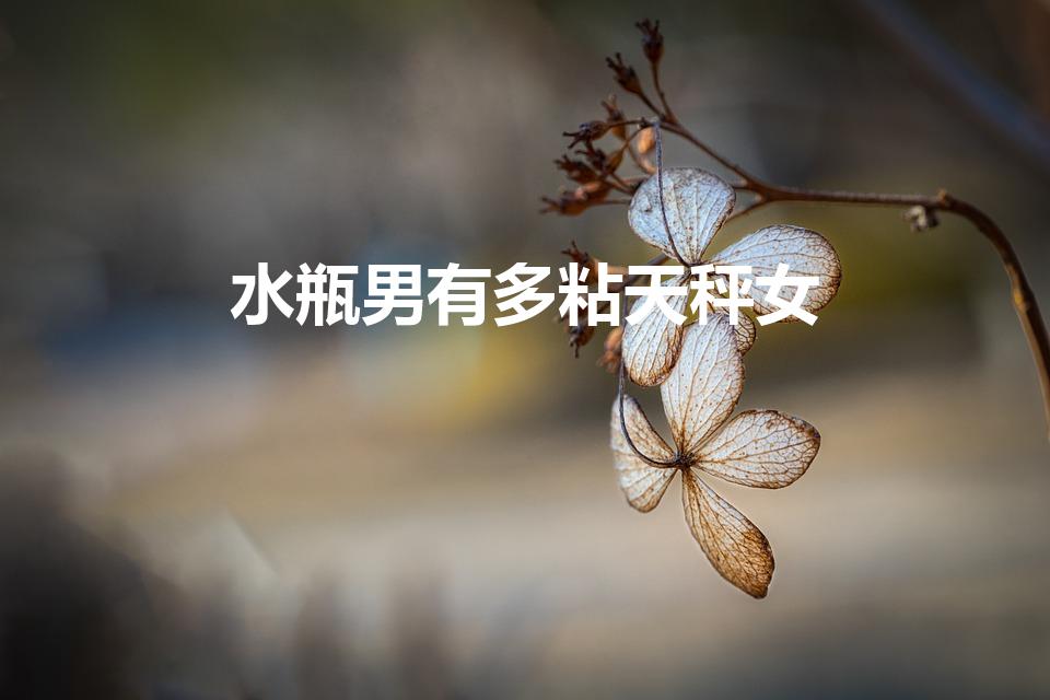 水瓶男有多粘天秤女