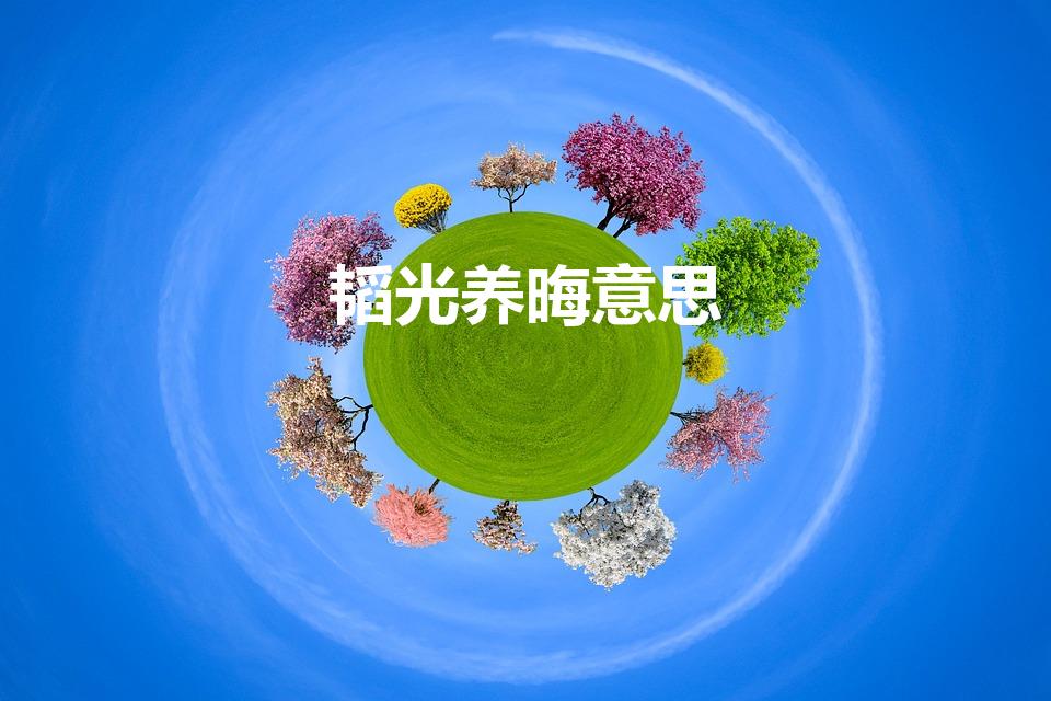 韬光养晦意思（韬光养晦是什么意思寓意着什么）