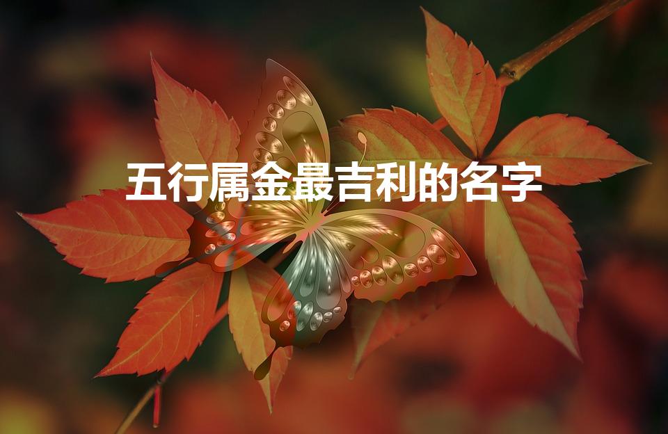 五行属金最吉利的名字（五行属金取什么名字比较好）
