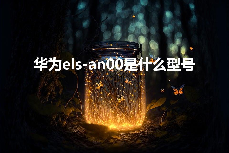 华为els-an00是什么型号