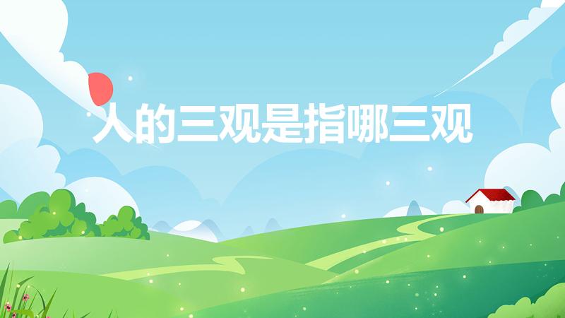 人的三观是指哪三观（三观是哪三观）