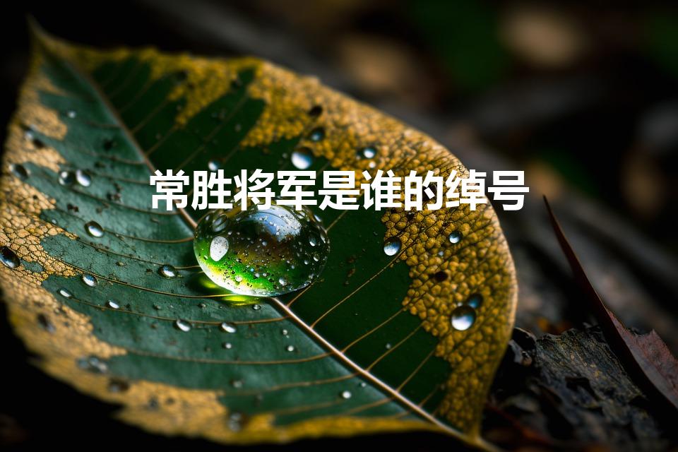 常胜将军是谁的绰号（三国演义中常胜将军是指谁）