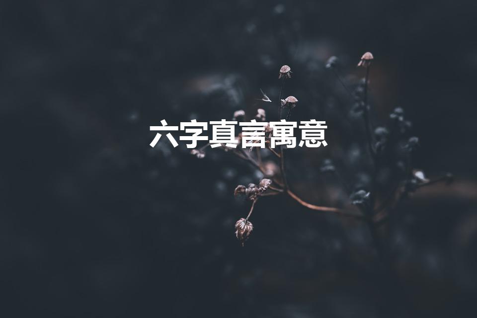六字真言寓意（六字真言的寓意和象征）