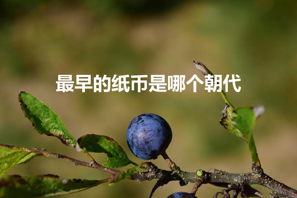最早的纸币是哪个朝代（我国纸币最早出现在哪个朝代）