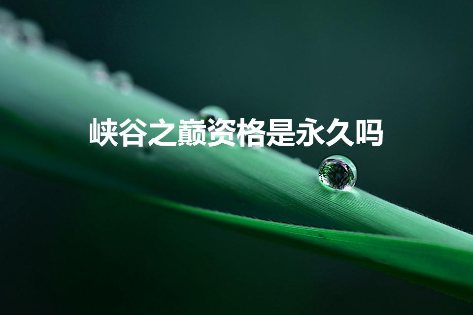峡谷之巅资格是永久吗（《英雄联盟》峡谷之巅资格是永久吗）