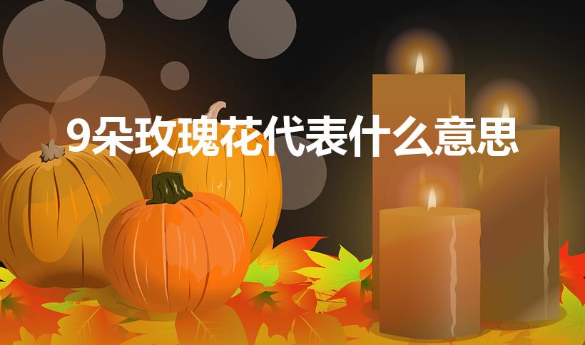 9朵玫瑰花代表什么意思（9朵玫瑰代表什么意思）