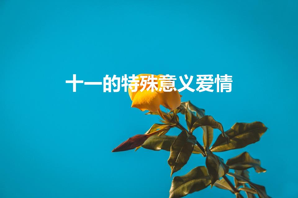 十一的特殊意义爱情（爱情十一的特殊意义是什么吗）